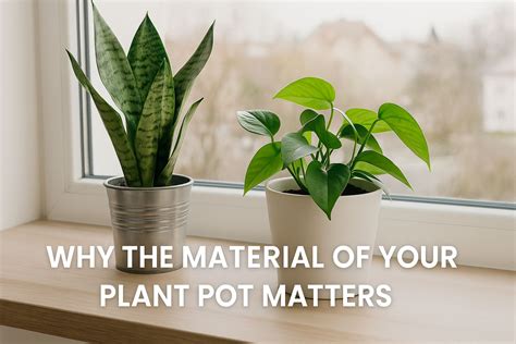 Metal vs Plastic Pots for Plants: Which is Better for Indoor & Outdoor ...