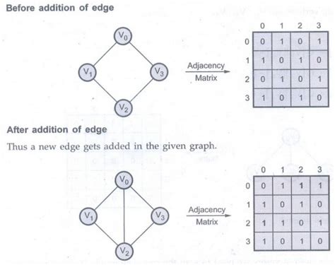 Elementary Graph Operations in Data Structures 的图像结果
