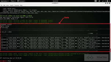 Sqlmap Tutorial Kali 的图像结果