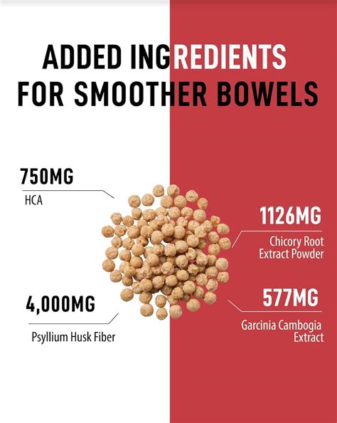 Buy FromBIO HealthyFit Dibab Garcinia Cambogia & Psyllium Husk 5g per ...