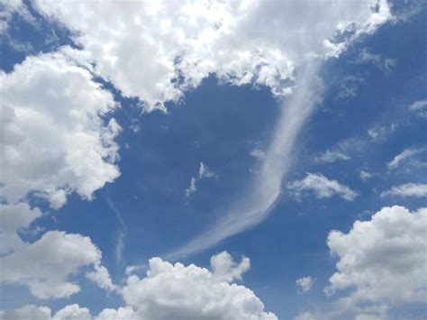 Image result for Getting Hypnotized