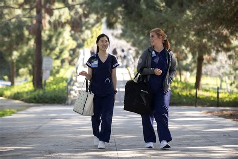 Major Quiz | Office of Undergraduate Admissions | UCI