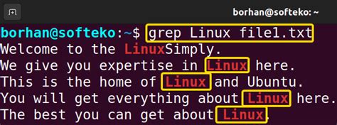 Image result for Using the Grep Command in Linux