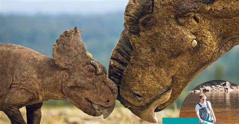 Walking With Dinosaurs Pachyrhinosaurus Bulldust