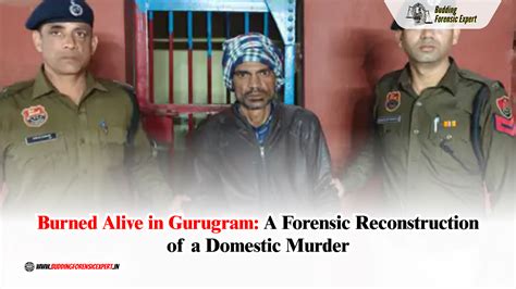 Burned Alive in Gurugram: A Forensic Reconstruction of a Domestic Murder