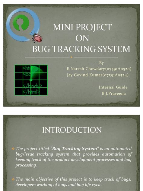 Image result for Bug Tracking System Java