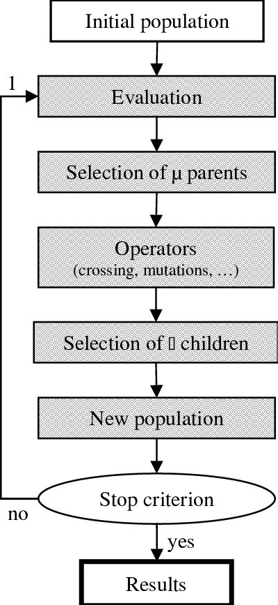 Evolutionary Algorithm 的图像结果