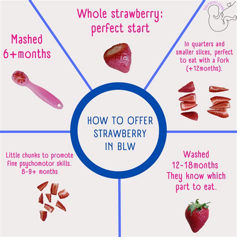 How To Serve Strawberries To Baby at Brianna Gellatly blog