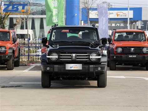 Great Wall New Petrol Vehicle Tank 300 4WD 2.0t 5 Doors 5 Seats Compact ...