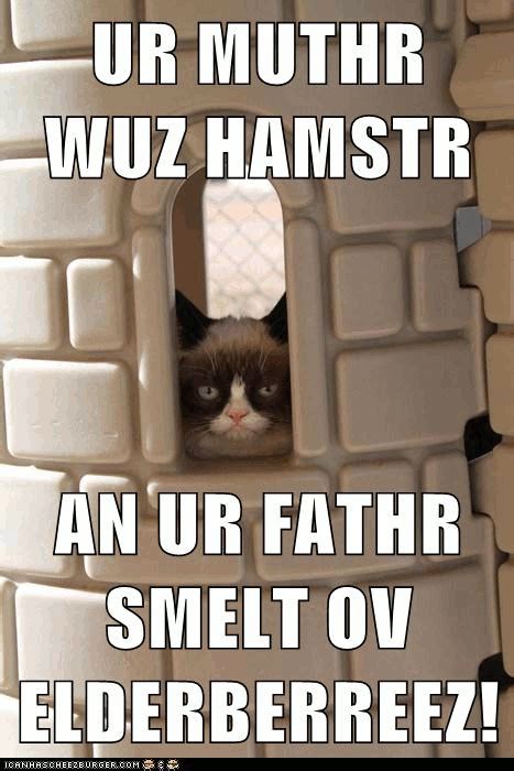 Monty Python Cat Beating 的图像结果