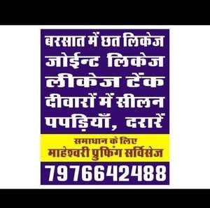 WATERPROOFING EXPERT, Water Proofing from Jaipur, Rajasthan