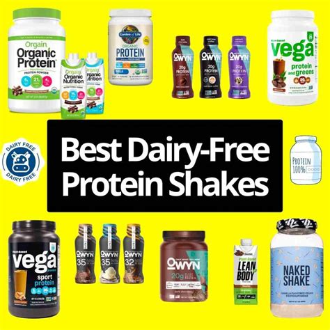 Best Dairy Free Protein Shakes 2023