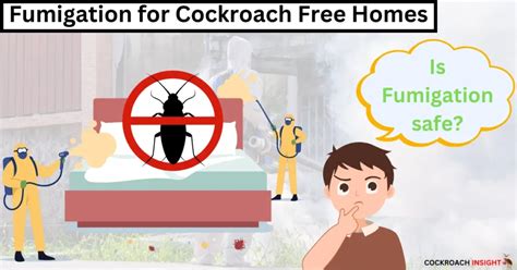Cockroach Fumigation 的图像结果