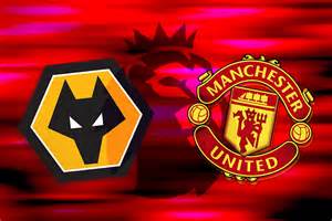 Image result for Wolves Live Stream