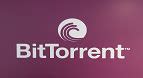 Image result for BitTorrent Installation Guide