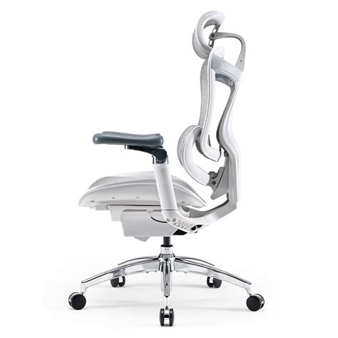 Sihoo Doro C300