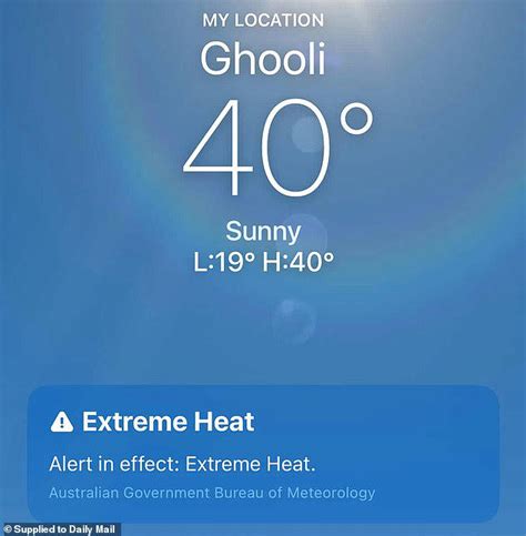 I was stranded in 40C heat and left to die with my dogs after roadside ...
