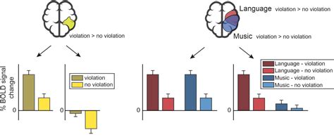 Human Language System 的图像结果