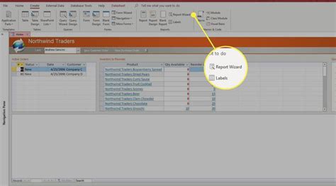 Image result for Access Reports Tutorial