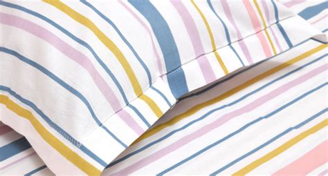 haus & kinder Pure Cotton King Size Bedsheet with 2 Pillow Covers for ...