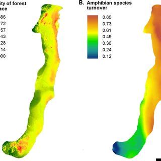 Image result for Modeling Forest Fire Using Maxent