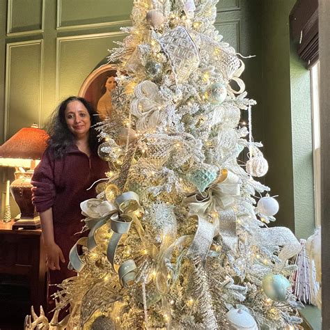 Image result for Lighted Rotating Christmas Tree