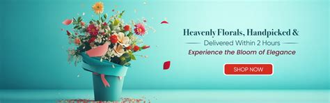 Online Best Cakes, Flowers, Plants & Gifts in India, Doorstep Delivery ...