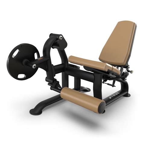 Weight Lifting Exercise Machine 的图像结果