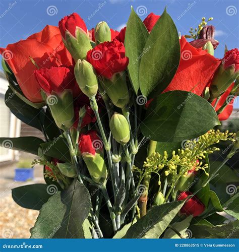 Hermosas Rosas Rojas Y Claveles En Ramo Imagen de archivo - Imagen de ...
