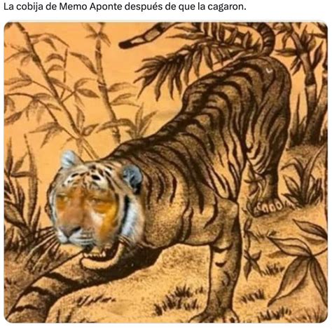 Los memes de Memo Aponte se inspiran en su momento Amber Heard tras la ...