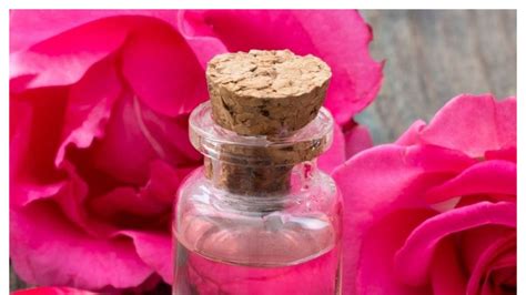 Skin Care: ಬೇಸಿಗೆಯಲ್ಲಿ ತ್ವಚೆಯ ರಕ್ಷಣೆಗೆ ರೋಸ್ ವಾಟರ್ ಬೆಸ್ಟ್ , ಯಾವ ಸಮಯದಲ್ಲಿ ...