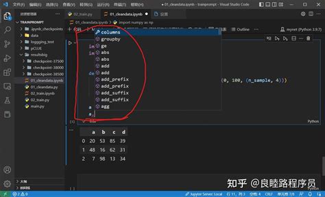 Exemple Variable If Py vs Code 的图像结果