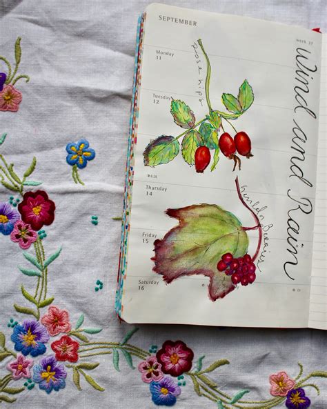 Nature Journals 的图像结果