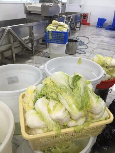 净菜加工生产线 鲜切蔬菜加工设备