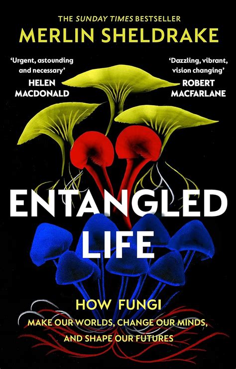 Entangled Life: The phenomenal Sunday Times bestseller exploring how ...