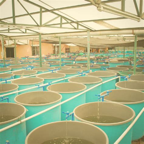 Aquaculture 的图像结果