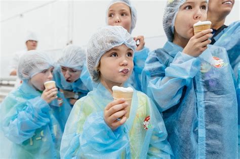 Фабрика мороженого «Чистая линия»
