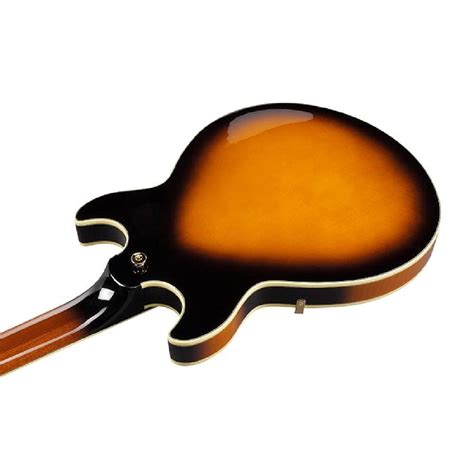 Buy Ibanez AM Artstar Series Hollow Body 6 String Electric Guitar ...