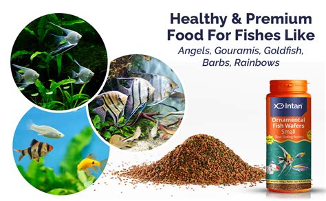 Intan Ornamental Fish wafers Fish Food | Slowly Sinking Wafers for ...