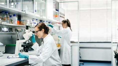 First human-monkey chimera raises concern among scientists – The Irish ...