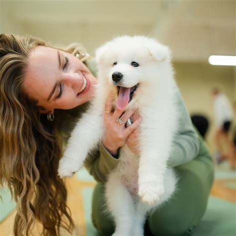 Ethical Puppy Yoga in Washington D.C. - Puppy Sphere