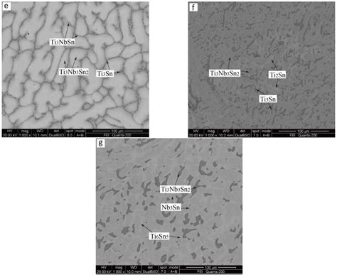 Experimental Investigation of the Ti-Nb-Sn Isothermal Section at 1173 K