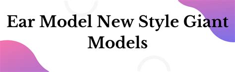 AjantaExports Ear Model New Style Giant Models Human anatomy Anatomy ...