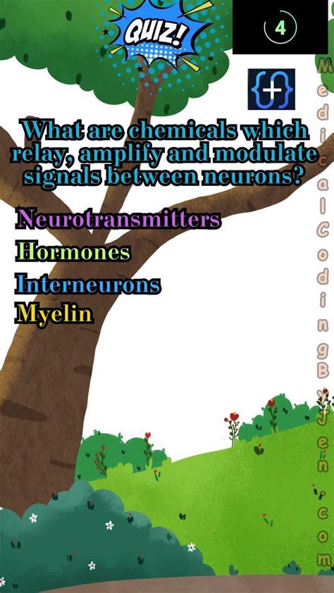 Medical Coding Exam Questions 的图像结果