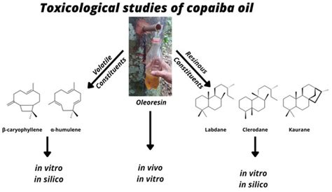 Toxicological Effects of Copaiba Oil (Copaifera spp.) and Its Active ...