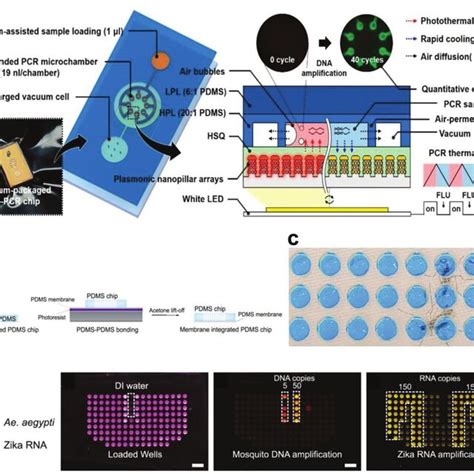 PCR Performance Chip Revamp Install 的图像结果