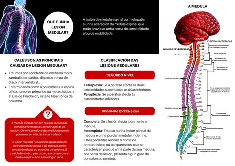 Lesiones Medulares