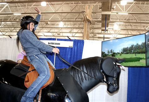 Horse Riding Simulator Exercise Machine 的图像结果