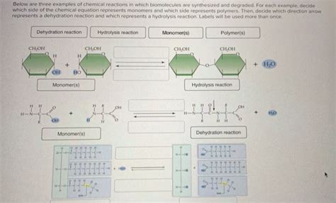 Image result for Dehydration Reaction Example