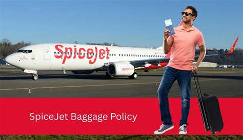 Image result for SpiceJet Baggage Tag